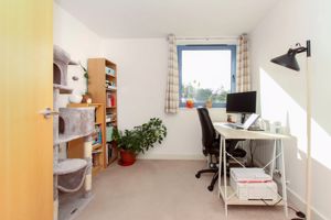 Photo 2- click for photo gallery